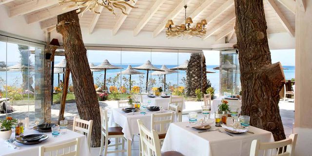Anthemus Sea Beach Hotel & Spa - Alimentaie